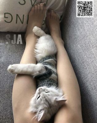 国产无人区卡一卡二卡三乱码网站-免费手机免费观看完整