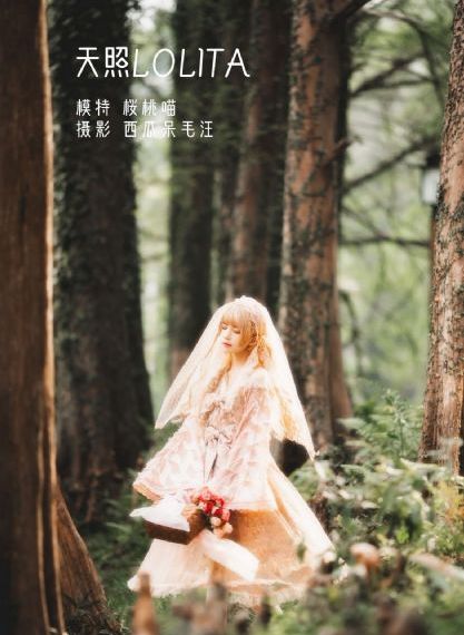 非洲免费毛片视频播放-我不卡高清视频播放